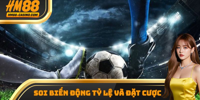 Soi biến động tỷ lệ và xuống tiền đúng thời điểm